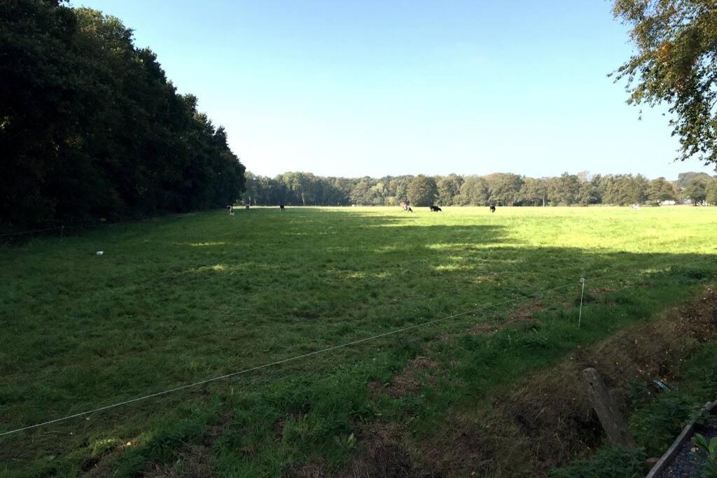 Natuurhuisje Veluwe Met Houtkachel En Pizzaoven Ermelo Exterior foto